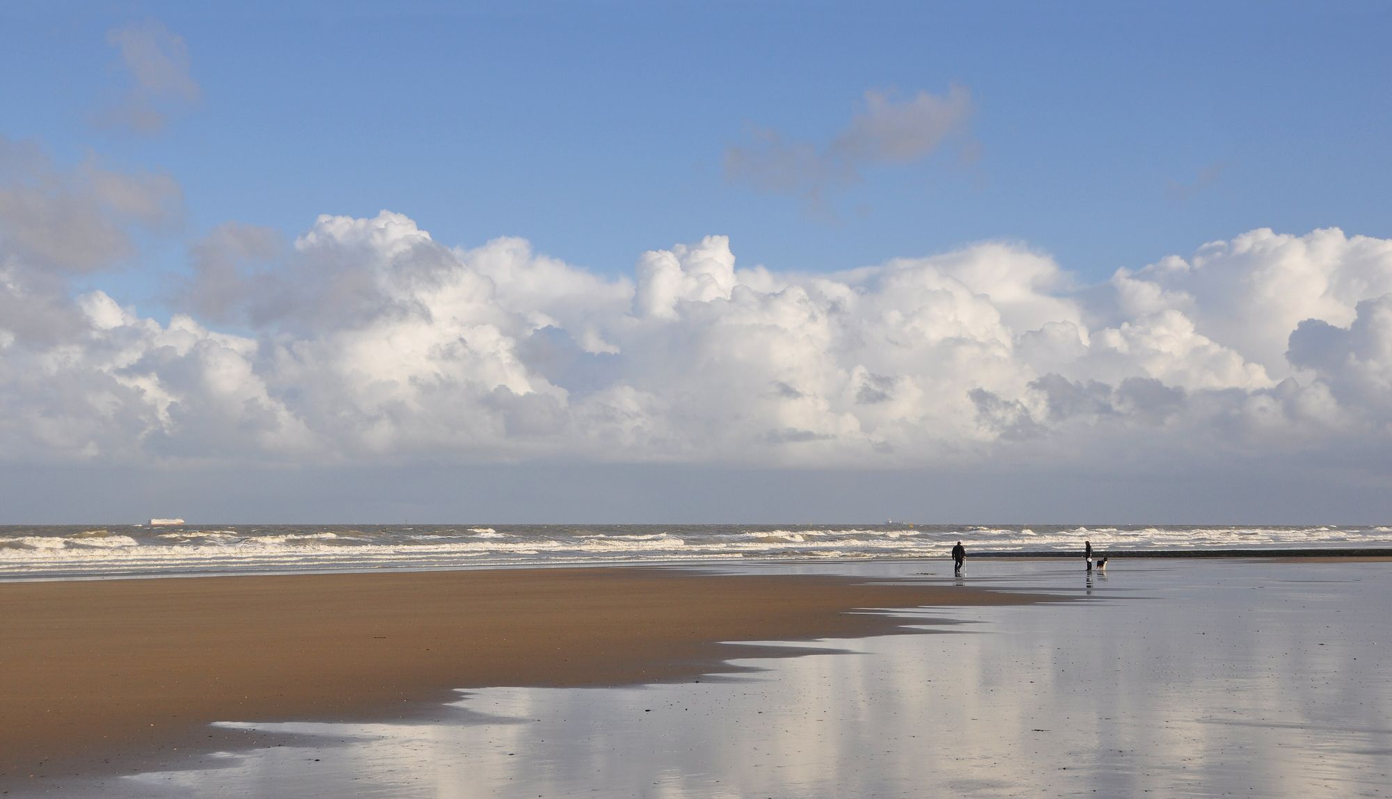 Strand van Wenduine